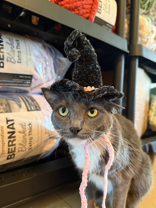 Cat with crochet black witch hat