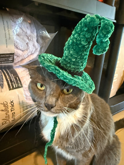 Cat with crochet green witch hat