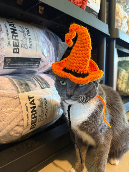 Cat with crochet orange witch hat